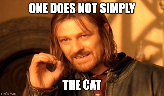 One Does Not Simply Meme | ONE DOES NOT SIMPLY THE CAT | image tagged in memes,one does not simply | made w/ Imgflip meme maker