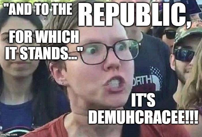 Triggered Liberal | REPUBLIC, "AND TO THE; FOR WHICH IT STANDS..."; IT'S DEMUHCRACEE!!! | image tagged in triggered liberal | made w/ Imgflip meme maker