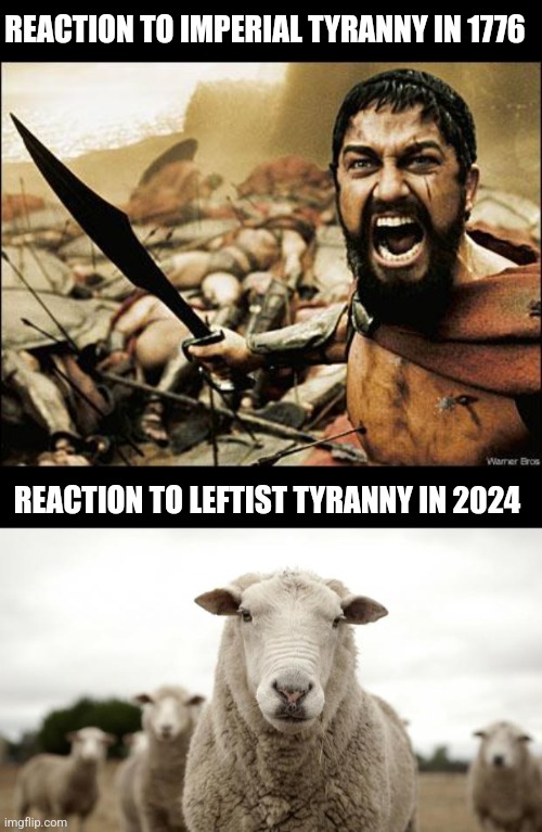 REACTION TO IMPERIAL TYRANNY IN 1776; REACTION TO LEFTIST TYRANNY IN 2024 | image tagged in spartan leonidas,sheep | made w/ Imgflip meme maker