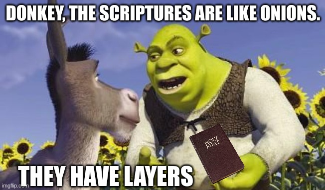 shrek is christian now! who knew? | DONKEY, THE SCRIPTURES ARE LIKE ONIONS. THEY HAVE LAYERS | image tagged in shrek onions,memes | made w/ Imgflip meme maker