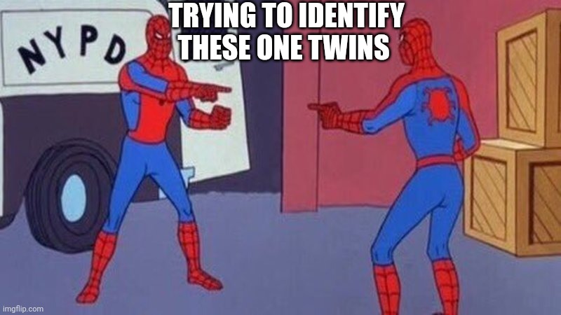 In the end id just try to use the shoe method | TRYING TO IDENTIFY THESE ONE TWINS | image tagged in spiderman pointing at spiderman | made w/ Imgflip meme maker