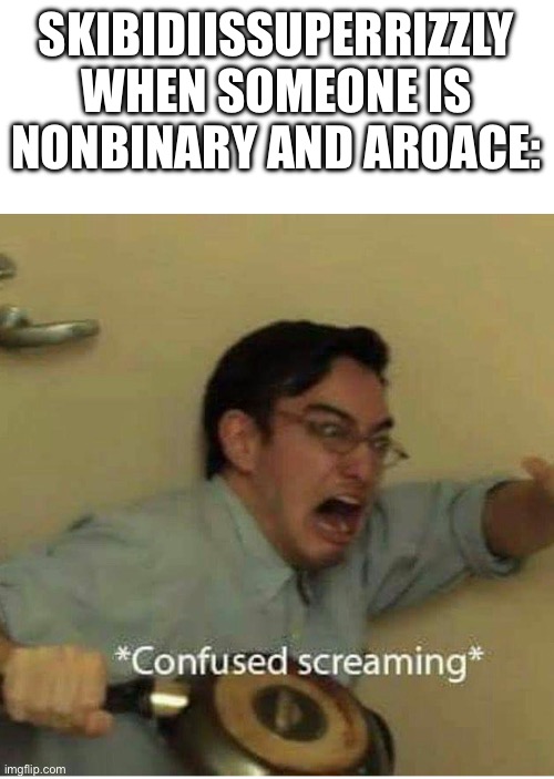 confused screaming | SKIBIDIISSUPERRIZZLY WHEN SOMEONE IS NONBINARY AND AROACE: | image tagged in confused screaming | made w/ Imgflip meme maker