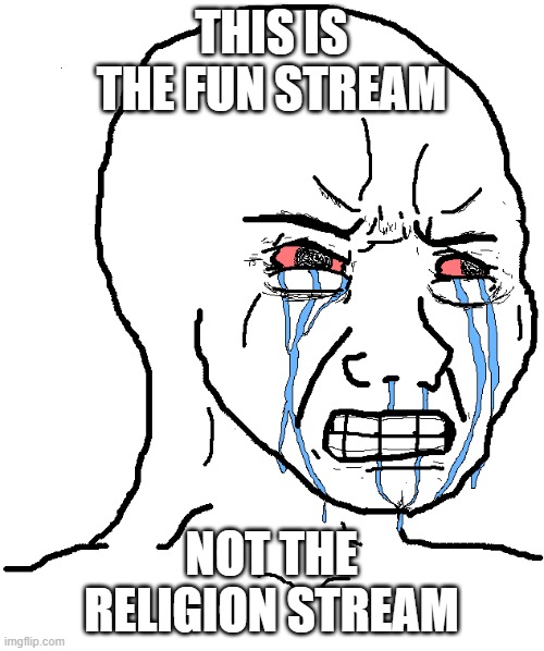 cry wojak | THIS IS THE FUN STREAM NOT THE RELIGION STREAM | image tagged in cry wojak | made w/ Imgflip meme maker
