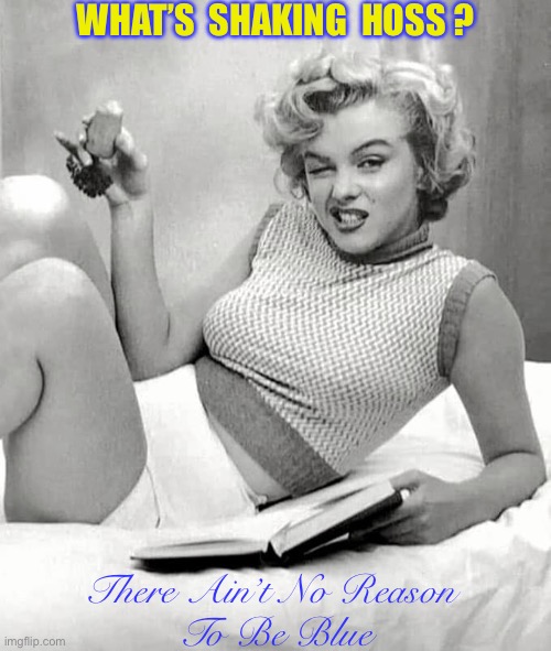 There’s No Reason To Be Blue  : ) | WHAT’S  SHAKING  HOSS ? There Ain’t No Reason 
To Be Blue | image tagged in marilyn monroe what s up doc | made w/ Imgflip meme maker