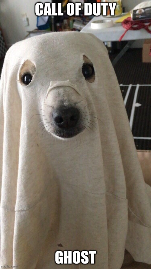 funny ghost dog | CALL OF DUTY; GHOST | image tagged in funny ghost dog | made w/ Imgflip meme maker