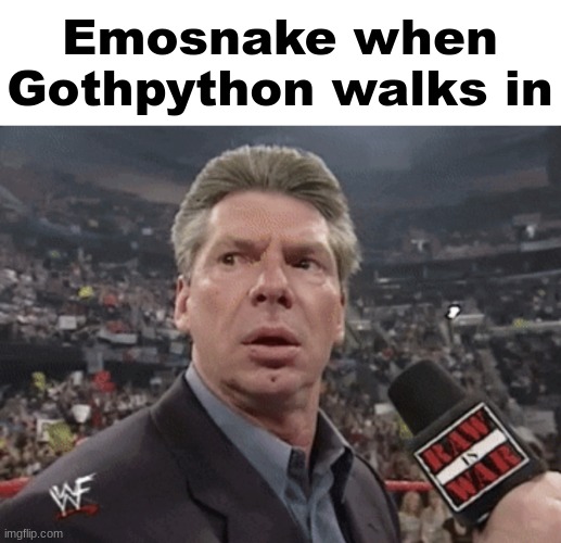 X when Y walks in | Emosnake when Gothpython walks in | image tagged in x when y walks in | made w/ Imgflip meme maker