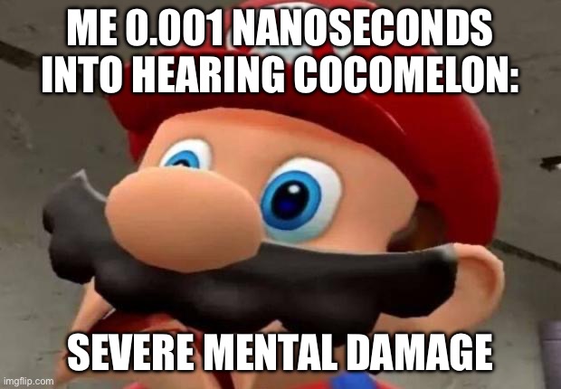 Severe mental damage… from hearing the worst song ever heard. | ME 0.001 NANOSECONDS INTO HEARING COCOMELON:; SEVERE MENTAL DAMAGE | image tagged in mario wtf | made w/ Imgflip meme maker