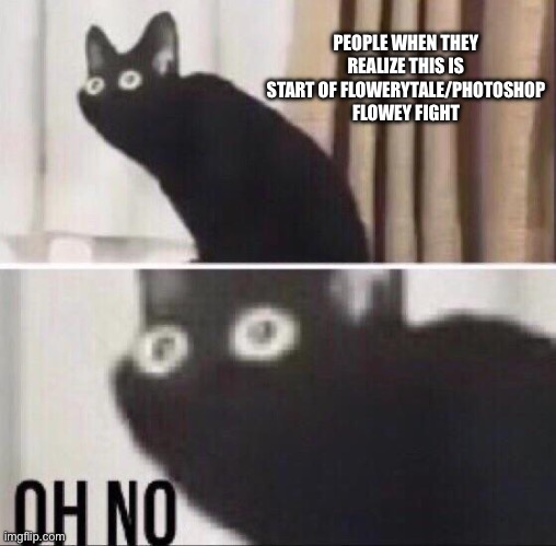 Oh no cat | PEOPLE WHEN THEY REALIZE THIS IS START OF FLOWERYTALE/PHOTOSHOP FLOWEY FIGHT | image tagged in oh no cat | made w/ Imgflip meme maker