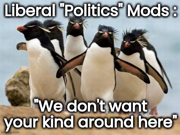 Penguin Gang Meme | Liberal "Politics" Mods : "We don't want your kind around here" | image tagged in memes,penguin gang | made w/ Imgflip meme maker