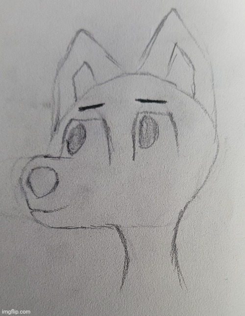 Unnamed furry art. Constructive criticism VERY much appreciated! | image tagged in furry,art,furry art,drawing,fox,fursona | made w/ Imgflip meme maker
