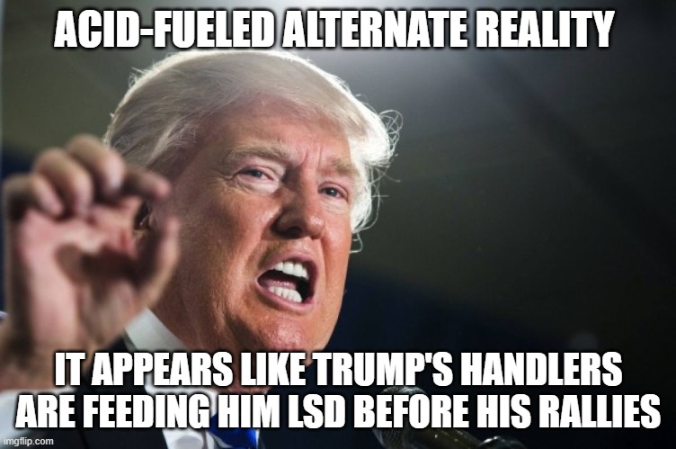 LSD Trump | ACID-FUELED ALTERNATE REALITY; IT APPEARS LIKE TRUMP'S HANDLERS ARE FEEDING HIM LSD BEFORE HIS RALLIES | image tagged in donald trump,acid,lsd | made w/ Imgflip meme maker