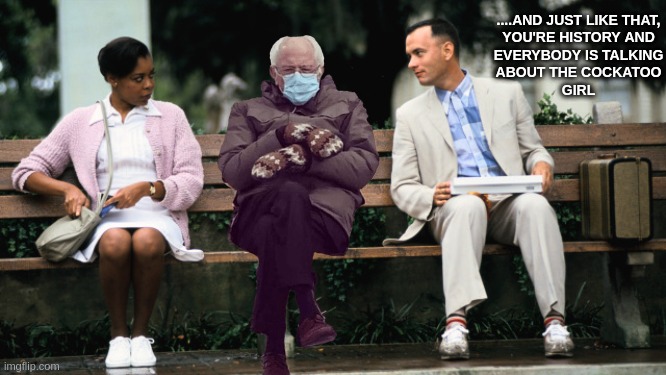 Life goes on and more virals will fill our lives in the future | ....AND JUST LIKE THAT,
YOU'RE HISTORY AND
EVERYBODY IS TALKING
ABOUT THE COCKATOO
GIRL | image tagged in forest gump,hawk tuah,funny,memes,bernie sanders,viral | made w/ Imgflip meme maker