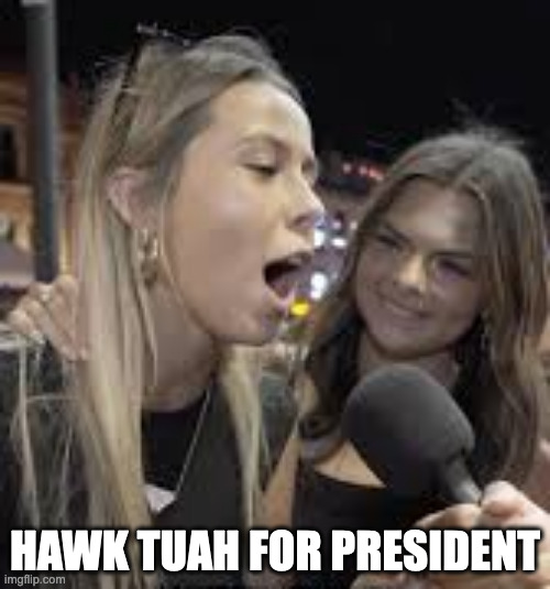 Hawk Tuah for President | HAWK TUAH FOR PRESIDENT | image tagged in hawk tuah girl | made w/ Imgflip meme maker