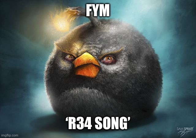 angry birds bomb | FYM ‘R34 SONG’ | image tagged in angry birds bomb | made w/ Imgflip meme maker