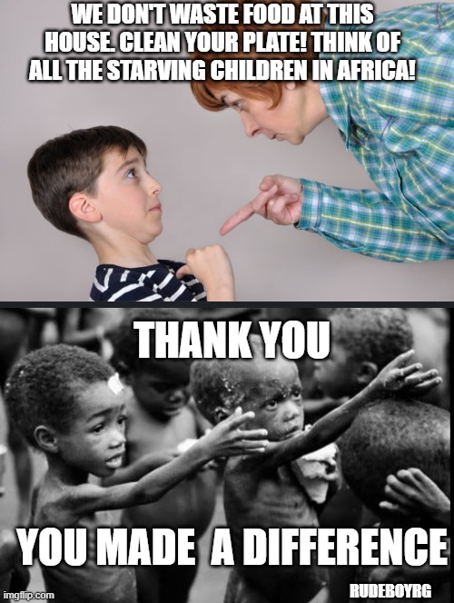 Clean Your Plate | WE DON'T WASTE FOOD AT THIS HOUSE. CLEAN YOUR PLATE! THINK OF ALL THE STARVING CHILDREN IN AFRICA! THANK YOU; YOU MADE  A DIFFERENCE; RUDEBOYRG | image tagged in clean your plate,starving african children,making a difference | made w/ Imgflip meme maker