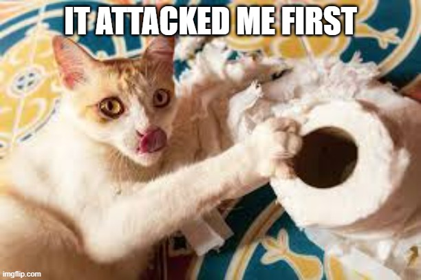 memes by Brad - My cat got attacked by a TP roll | IT ATTACKED ME FIRST | image tagged in funny,cats,funny cat memes,kitten,humor,cute kitten | made w/ Imgflip meme maker