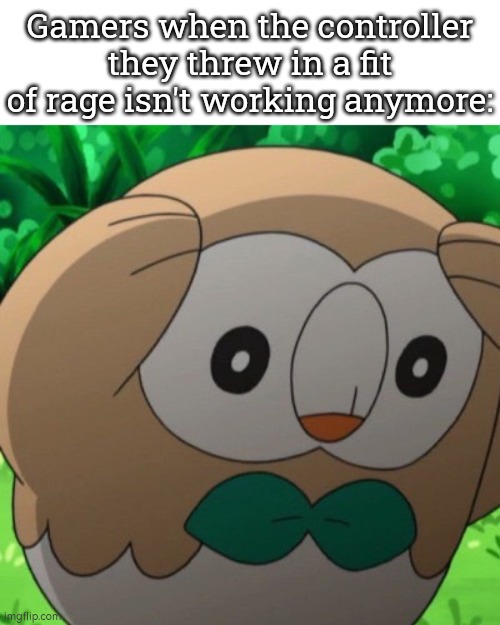 Good job Gamers, you screw yourself up. | Gamers when the controller they threw in a fit of rage isn't working anymore: | image tagged in rowlet meme template,memes,funny,controller | made w/ Imgflip meme maker