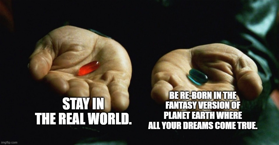 Real EarthOr Fantasy Earth | STAY IN THE REAL WORLD. BE RE-BORN IN THE FANTASY VERSION OF PLANET EARTH WHERE ALL YOUR DREAMS COME TRUE. | image tagged in red pill blue pill | made w/ Imgflip meme maker