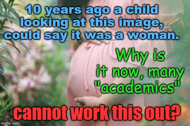 The Brain drain, why is it so many academics no longer able to identify a woman? | 10 years ago a child looking at this image, could say it was a woman. Why is it now, many "academics"; Yarra Man; cannot work this out? | image tagged in woke,progressive,democrat,labor,usa,person with a womb | made w/ Imgflip meme maker