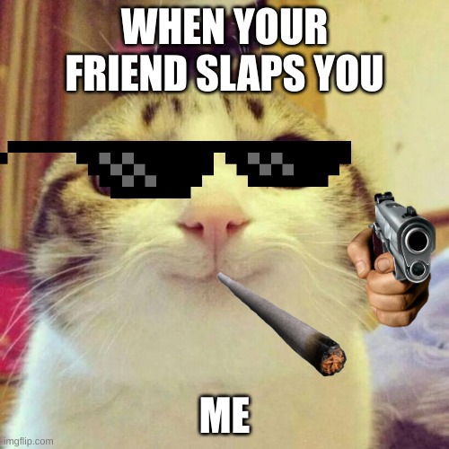 when your friend slaps you | WHEN YOUR FRIEND SLAPS YOU; ME | image tagged in memes,smiling cat | made w/ Imgflip meme maker