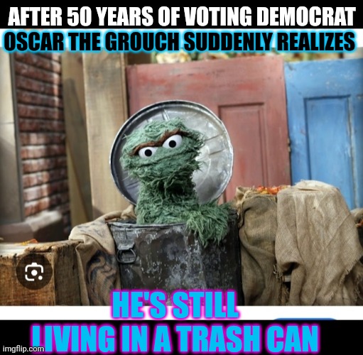 A TRUE-BLUE DEM | AFTER 50 YEARS OF VOTING DEMOCRAT; OSCAR THE GROUCH SUDDENLY REALIZES; HE'S STILL LIVING IN A TRASH CAN | image tagged in always has been,losers,dumbass,democrats,stupid liberals | made w/ Imgflip meme maker