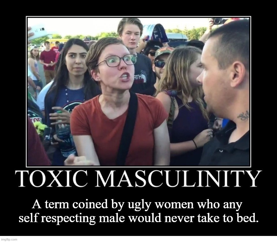Toxic Masculinity Defined | image tagged in toxic masculinity,toxic femininity,ugly woman,disappointed woody,no woody,erectile dysfunction | made w/ Imgflip meme maker