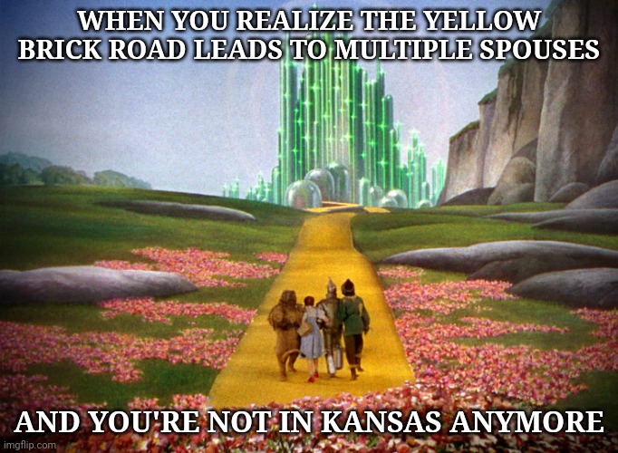 Polygamy | WHEN YOU REALIZE THE YELLOW BRICK ROAD LEADS TO MULTIPLE SPOUSES; AND YOU'RE NOT IN KANSAS ANYMORE | image tagged in polygamy | made w/ Imgflip meme maker