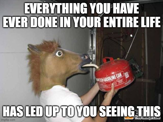Let that sink in. Sad, ain't it? | EVERYTHING YOU HAVE EVER DONE IN YOUR ENTIRE LIFE; HAS LED UP TO YOU SEEING THIS | image tagged in horse guy drinks gas | made w/ Imgflip meme maker