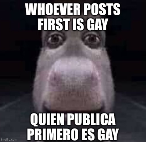 Whoever posts first is gay | image tagged in whoever posts first is gay | made w/ Imgflip meme maker