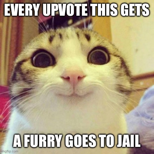 Meow | EVERY UPVOTE THIS GETS; A FURRY GOES TO JAIL | image tagged in memes,smiling cat | made w/ Imgflip meme maker