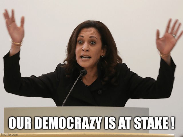 Kamala Constipated | OUR DEMOCRAZY IS AT STAKE ! | image tagged in kamala constipated | made w/ Imgflip meme maker