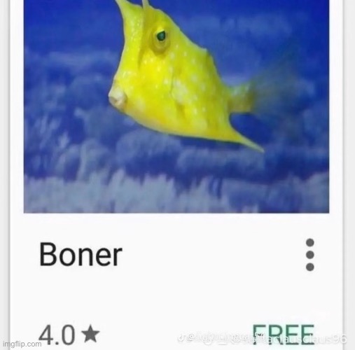 Boner | made w/ Imgflip meme maker