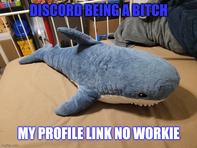Ugg | DISCORD BEING A BITCH; MY PROFILE LINK NO WORKIE | image tagged in my blahaj | made w/ Imgflip meme maker