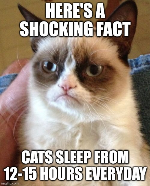 Like and subscribe for 10 years of good luck | HERE'S A SHOCKING FACT; CATS SLEEP FROM 12-15 HOURS EVERYDAY | image tagged in memes,grumpy cat | made w/ Imgflip meme maker