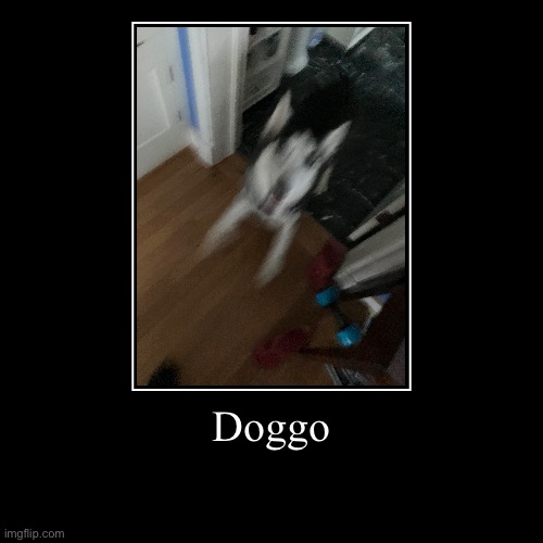 Doggo | | made w/ Imgflip demotivational maker