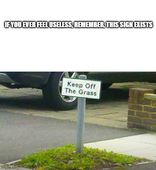 I don't know why it exists, all I know is that you should KEEP OFF OF THE GRASS | IF YOU EVER FEEL USELESS, REMEMBER, THIS SIGN EXISTS | image tagged in keep off the grass,if you ever feel useless remember this | made w/ Imgflip meme maker