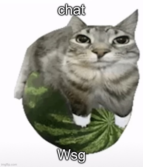 Happ | chat; Wsg | image tagged in happ | made w/ Imgflip meme maker