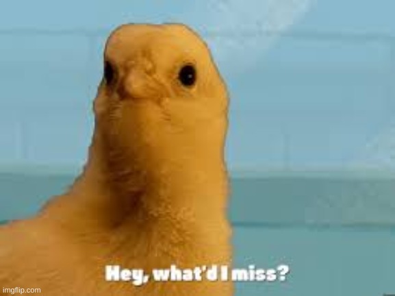 got silly, disappeared for 4 weeks | made w/ Imgflip meme maker