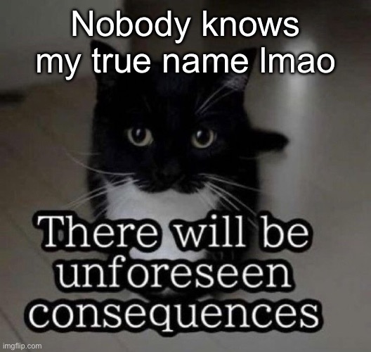 There will be unforeseen consequences | Nobody knows my true name lmao | image tagged in there will be unforeseen consequences | made w/ Imgflip meme maker
