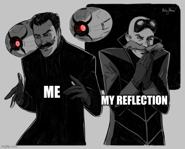 I talk to my reflection... I AM NOT INSANE!!!! | MY REFLECTION; ME | image tagged in robotnik template,jpfan102504 | made w/ Imgflip meme maker