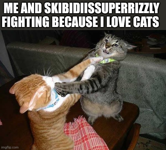 Stay mad Skibidiissuperrizzly because I just used a cat template | ME AND SKIBIDIISSUPERRIZZLY FIGHTING BECAUSE I LOVE CATS | image tagged in two cats fighting for real,cats,snowflake,skibidiissuperrizzly | made w/ Imgflip meme maker