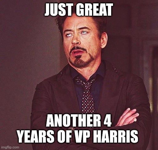Robert Downey Jr Annoyed | JUST GREAT ANOTHER 4 YEARS OF VP HARRIS | image tagged in robert downey jr annoyed | made w/ Imgflip meme maker