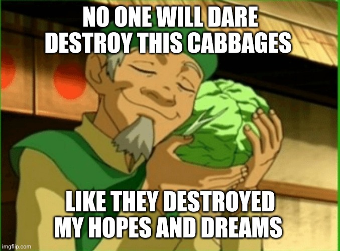 My hopes and dreams are gone, but at least I have cabbage!!!! | NO ONE WILL DARE DESTROY THIS CABBAGES; LIKE THEY DESTROYED MY HOPES AND DREAMS | image tagged in cabbage,atla,avatar the last airbender,relatable,jpfan102504 | made w/ Imgflip meme maker