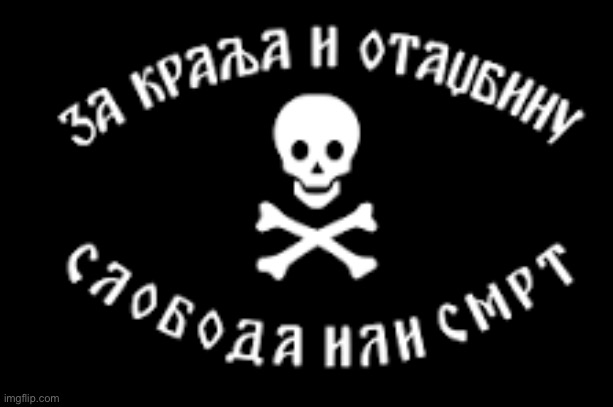Chetnik Flag | image tagged in chetnik flag | made w/ Imgflip meme maker