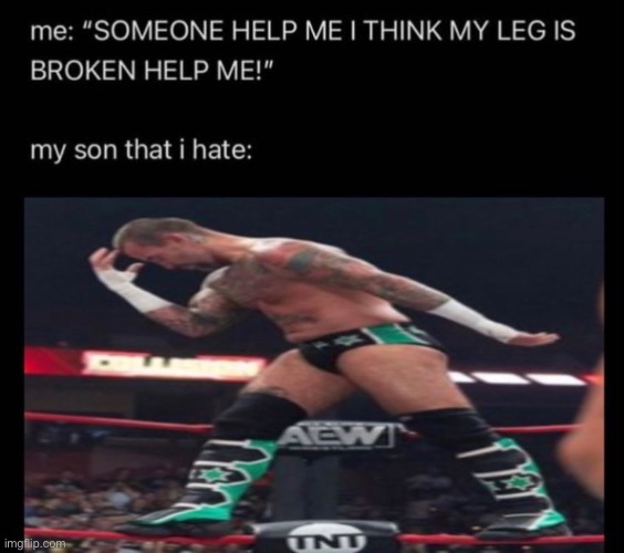 made w/ Imgflip meme maker