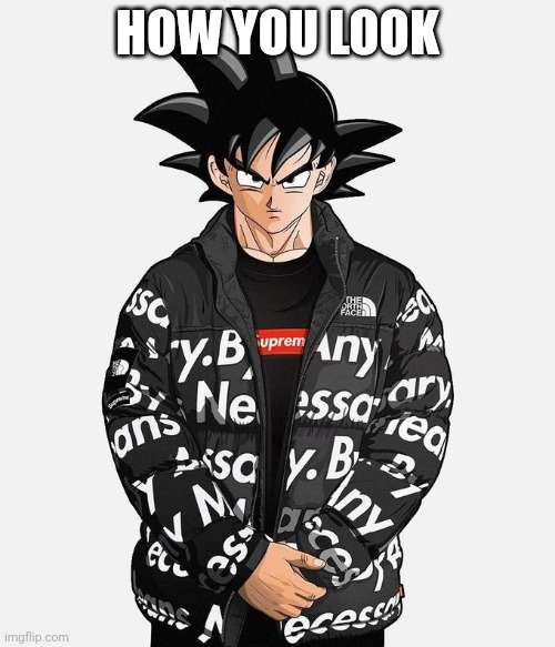 HOW YOU LOOK | image tagged in drip goku | made w/ Imgflip meme maker