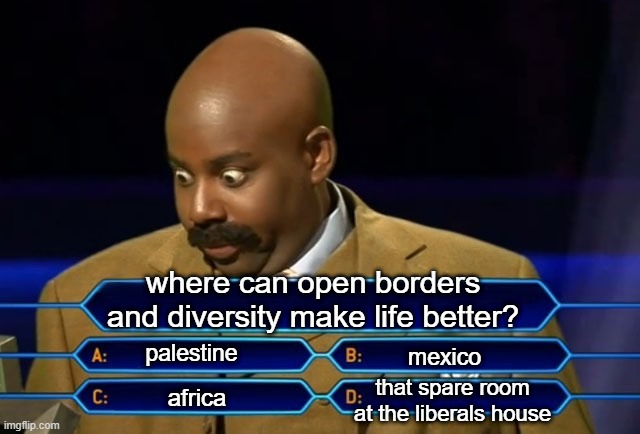 I just don't understand why liberals don't support mass immigration and open borders... | where can open borders and diversity make life better? palestine; mexico; that spare room at the liberals house; africa | image tagged in who wants to be a millionaire | made w/ Imgflip meme maker