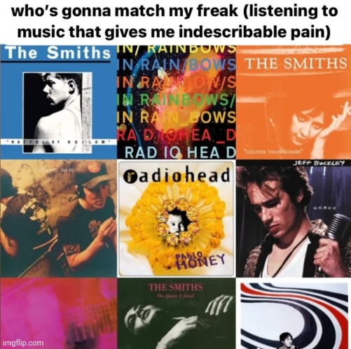 The front bottoms concert is on a Wednesday that's gonna be my 13th reason | made w/ Imgflip meme maker