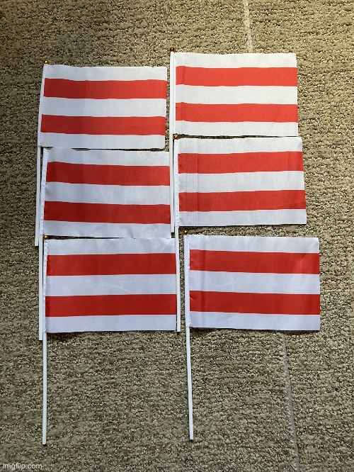 Some Jexpoi flags I got myself | image tagged in jexpoi flags,jexpoi | made w/ Imgflip meme maker