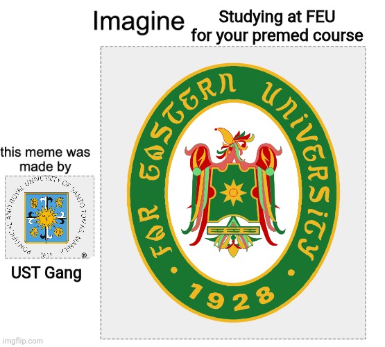 I am not against medical professionals who graduated from FEU, but If you want to be a more successful doctor in the Philippines | Studying at FEU for your premed course; UST Gang | image tagged in meme gang,funny,philippines,college,medical school | made w/ Imgflip meme maker